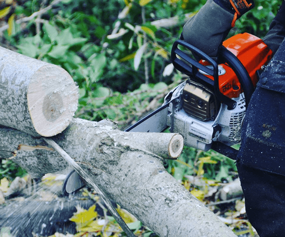 Cutting Wood With Chainsaw