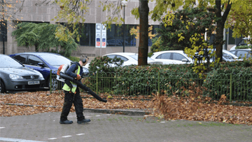 Leaf Clearance