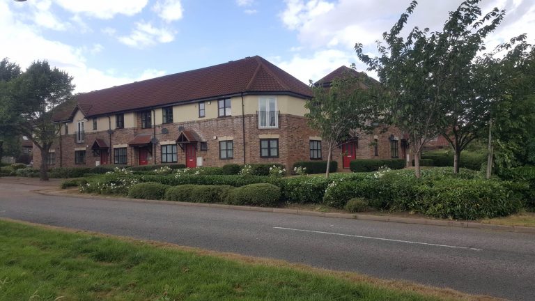 Hedge Maintenance