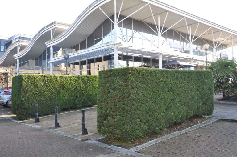 Hedge Maintenance