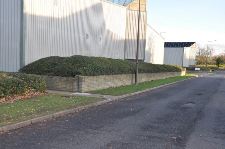 Landscape Maintenance
