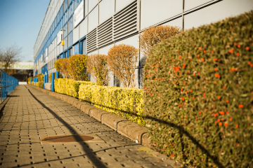 Landscape Maintenance