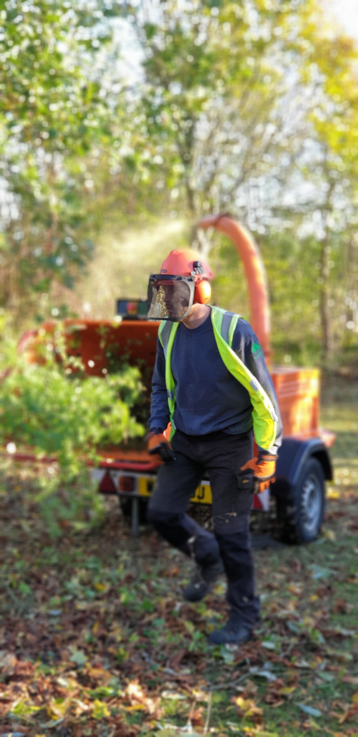The Parks Trust Thinning Work