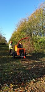 The Parks Trust Thinning Work