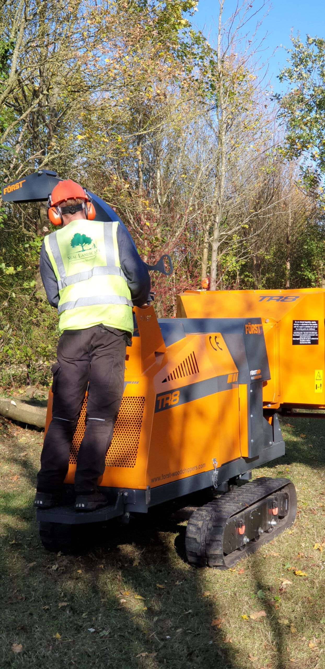 The Parks Trust Thinning Work
