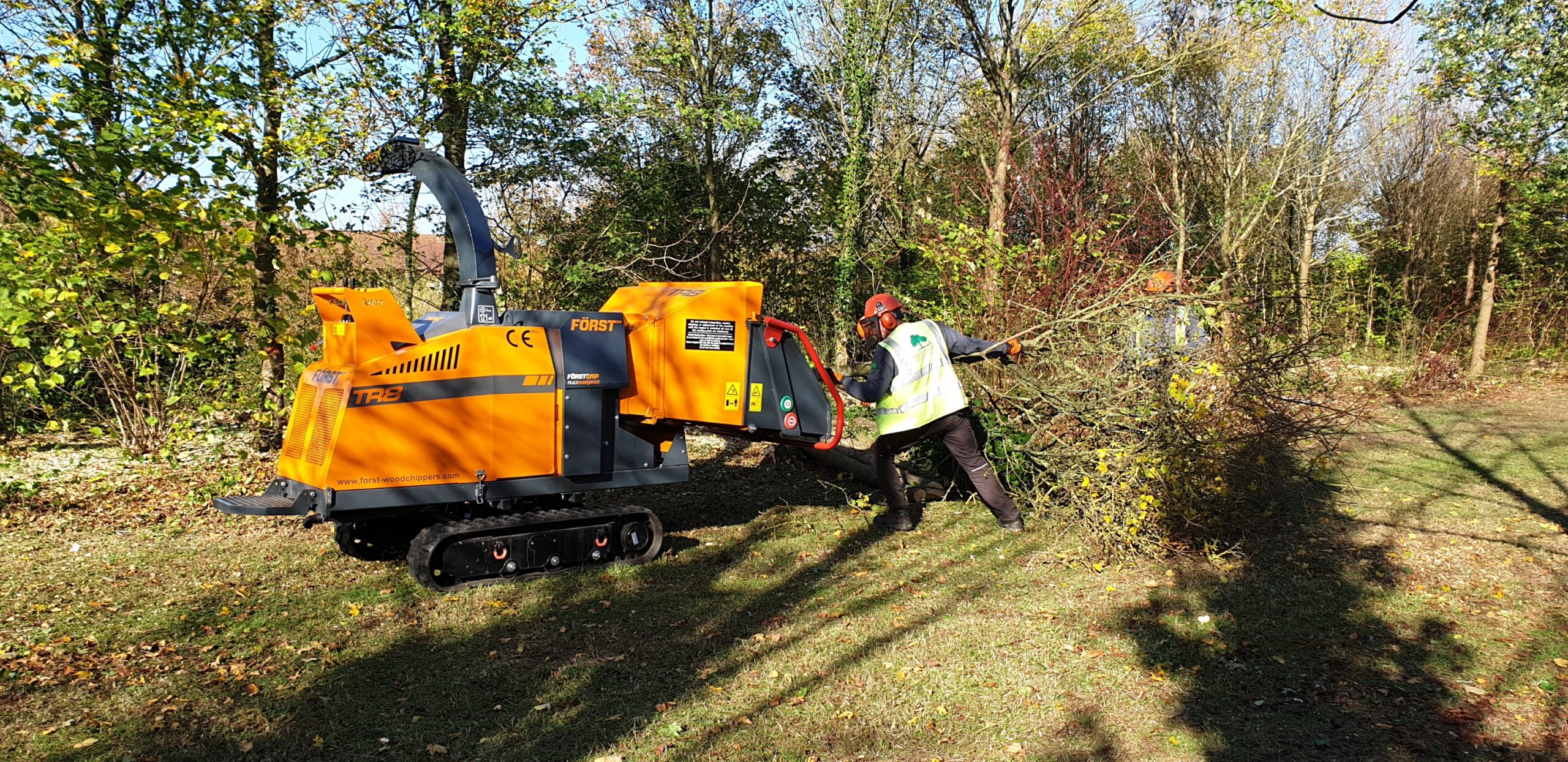 The Parks Trust Thinning Work