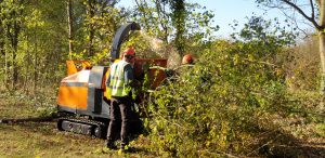 The Parks Trust Thinning Work