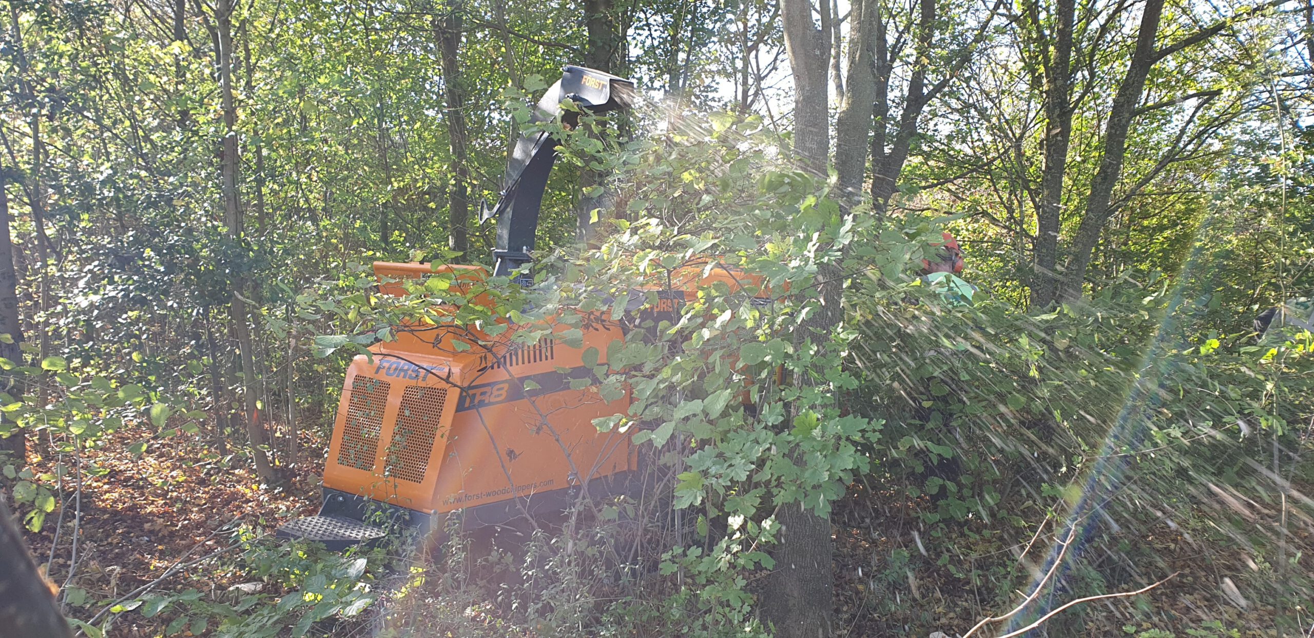 The Parks Trust Thinning Work