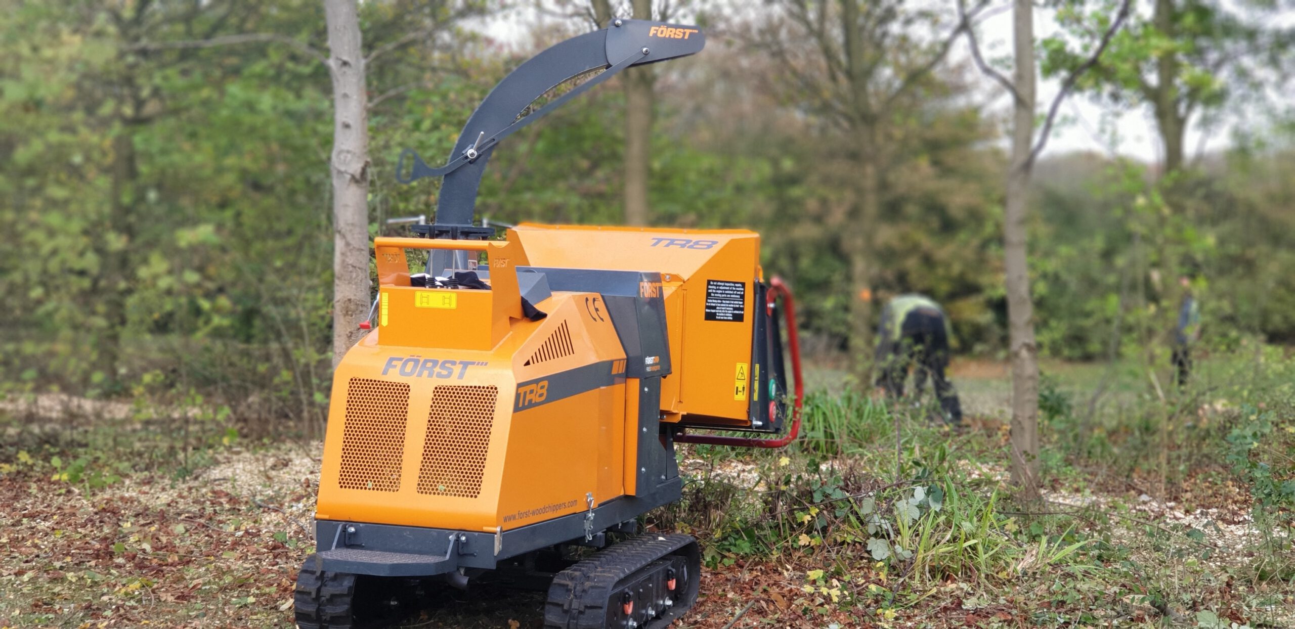 The Parks Trust Thinning Work