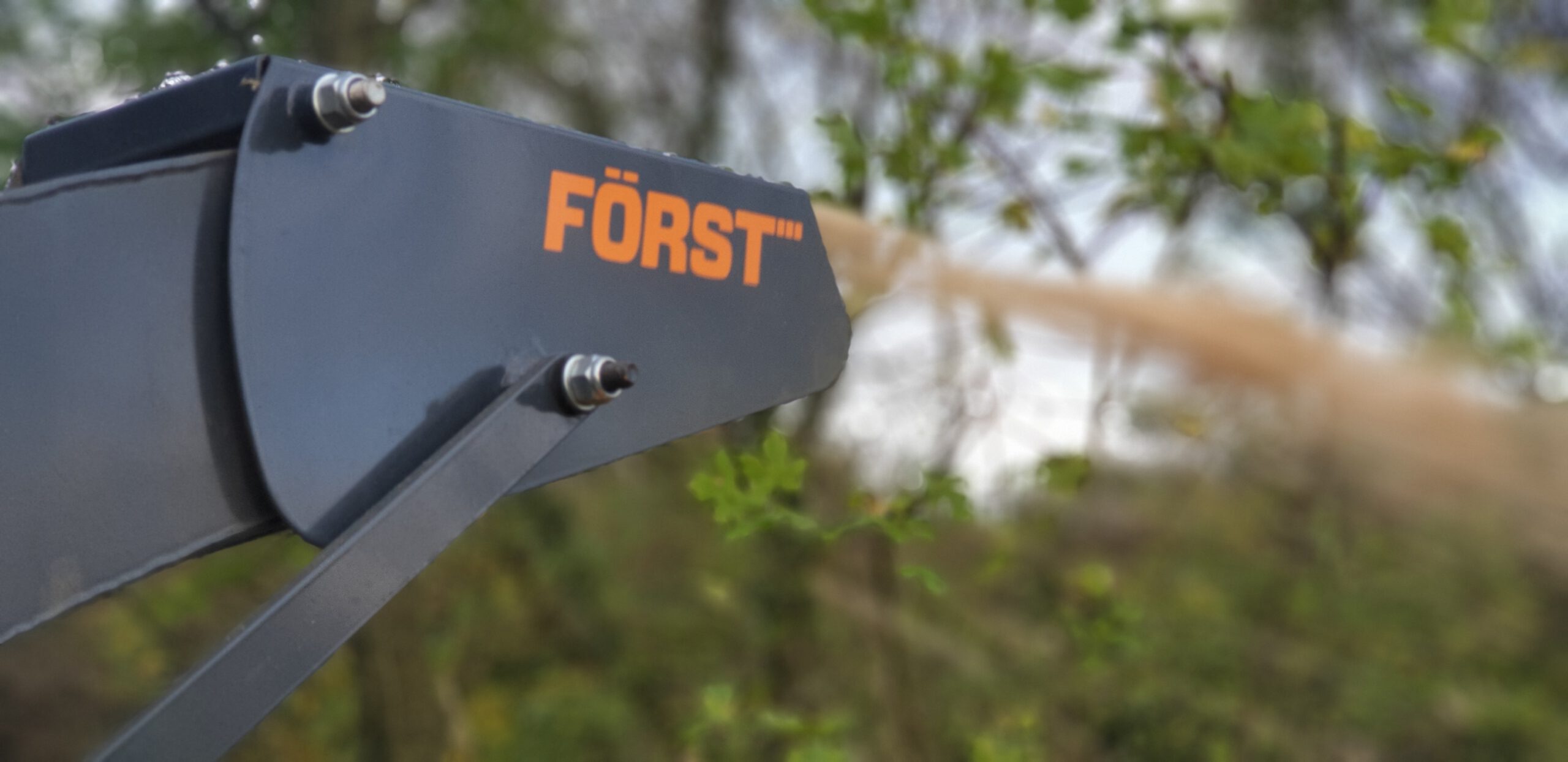 The Parks Trust Thinning Work