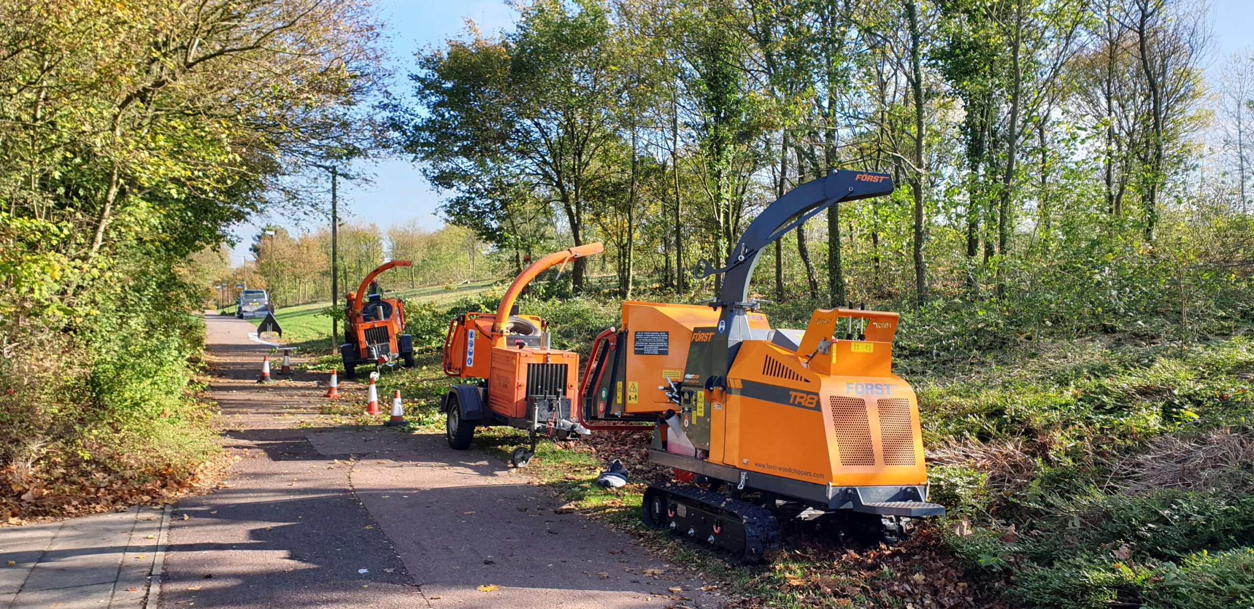 The Parks Trust Thinning Work