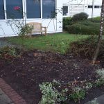 Planting Scheme in Central Milton Keynes