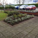 Planting Scheme in Central Milton Keynes