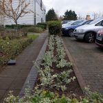 Planting Scheme in Central Milton Keynes