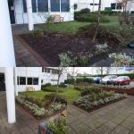 Planting Scheme in Central Milton Keynes