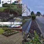 small planting scheme CMK