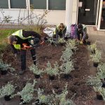 CMK Planting Scheme