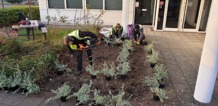 CMK Planting Scheme