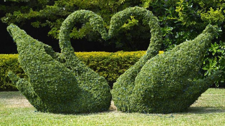 The Best Topiary Gardens In The World