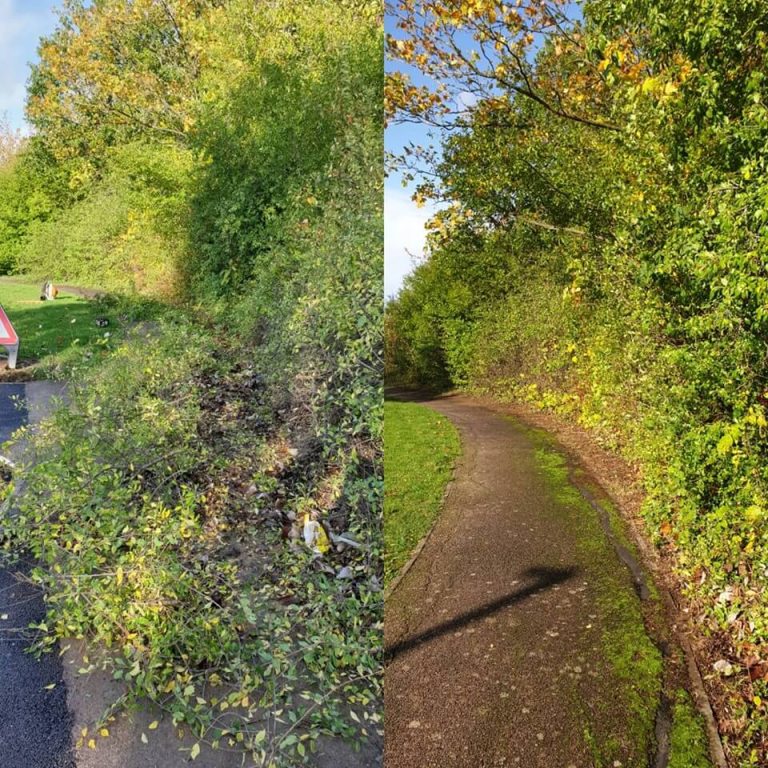 pruning and trimming work