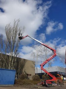 Tree Surgery Crane