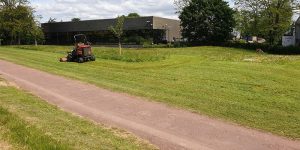 Buckinghamshire Landscaping In Progress