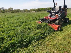 Close Up Of Grass Cutting