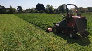 Cutting Grass