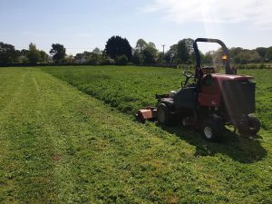 Cutting Grass