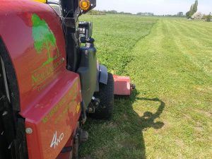 Cutting Paddock Grass