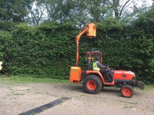 Man Cutting Overgrown Bush