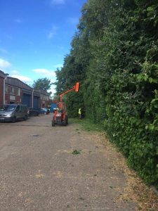 Using Tractor To Cut Bush