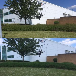 Landscape Maintenance