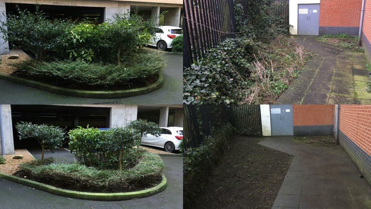 Grounds & Landscape Maintenance, Milton Keynes Neal Landscapes