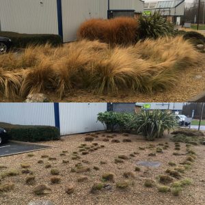 Pruning Before And After