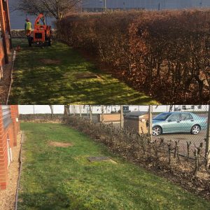 Cutting Down Hedges