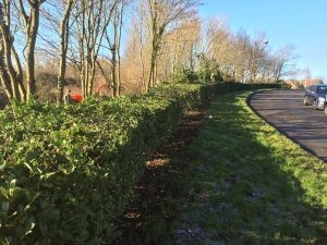 The Parks Trust After Landscaping