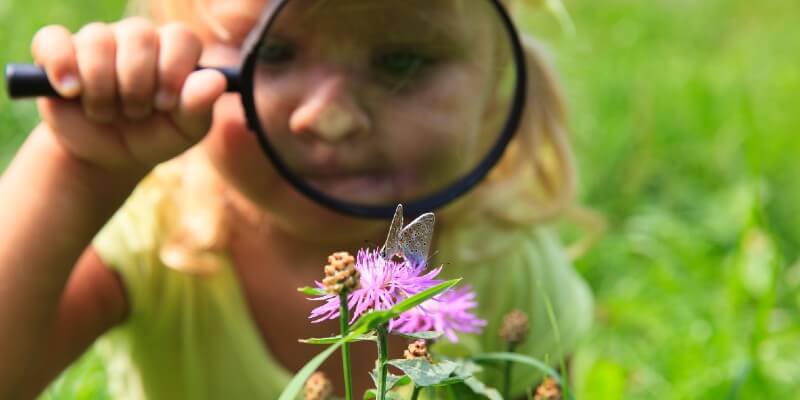 Girl looking at flower