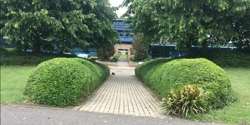 Landscaping Around Pathway