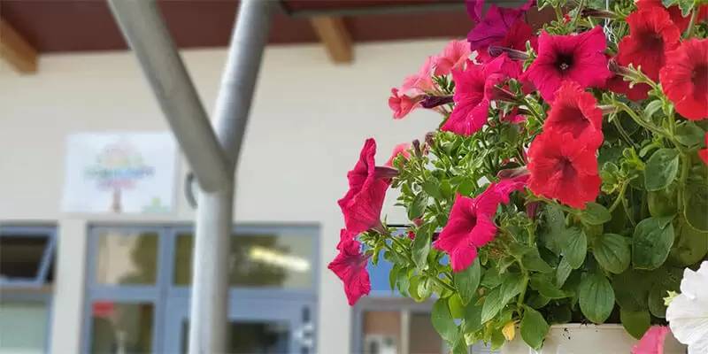 Flower Display