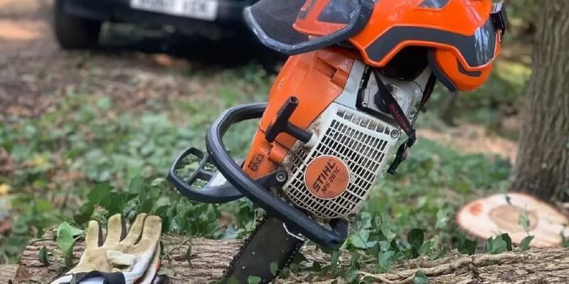 chainsaw in a tree