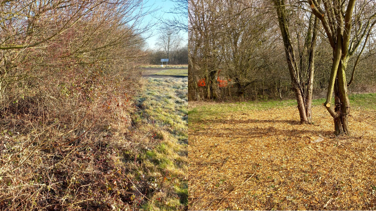 Ground Maintenance Project In Milton Keynes Neal Landscapes