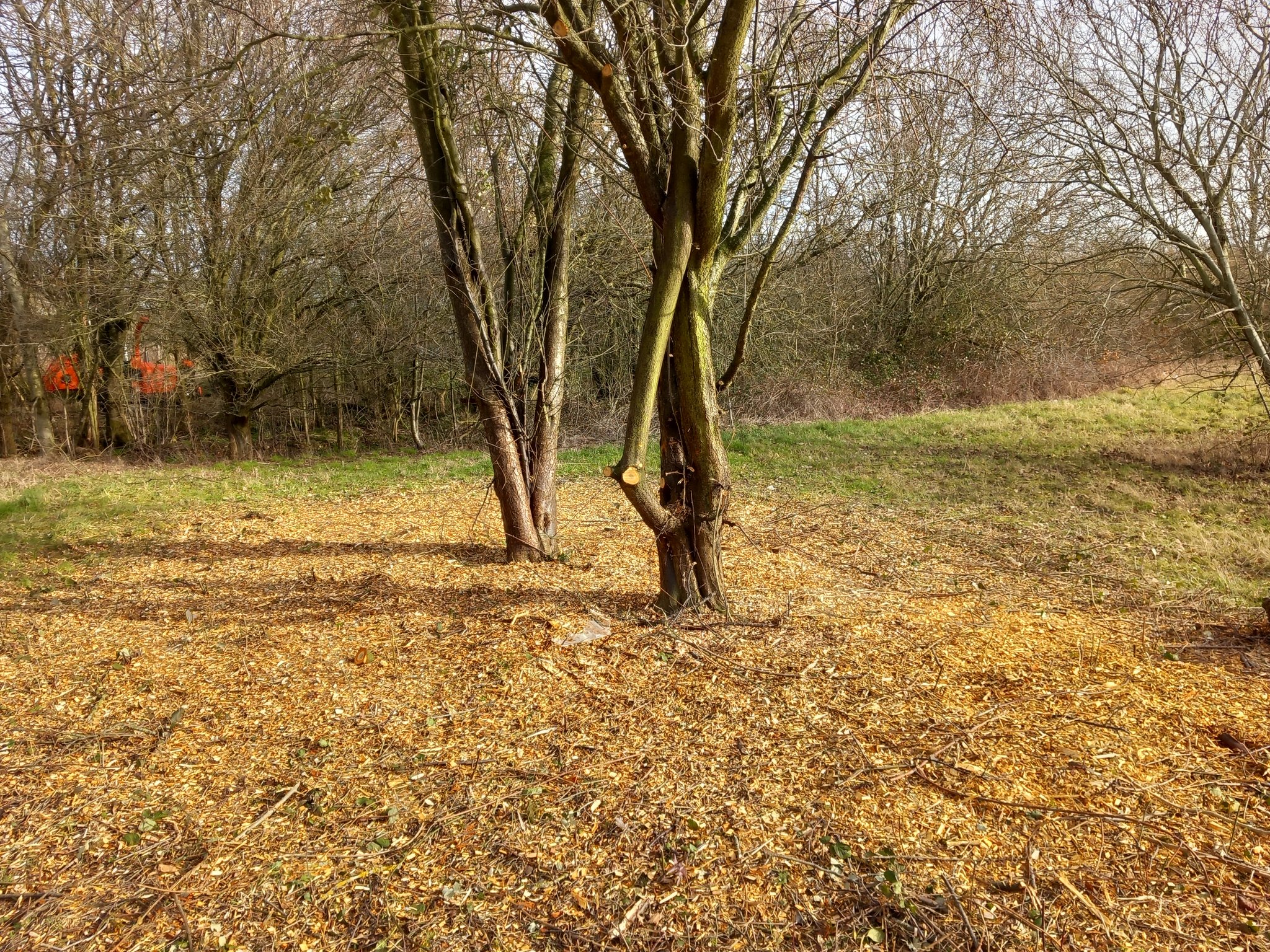 Ground Maintenance Project In Milton Keynes Neal Landscapes