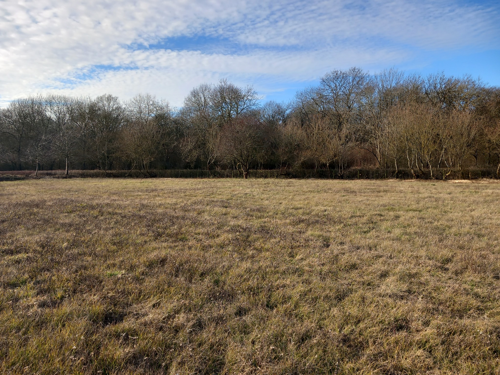 Ground Maintenance Project In Milton Keynes Neal Landscapes
