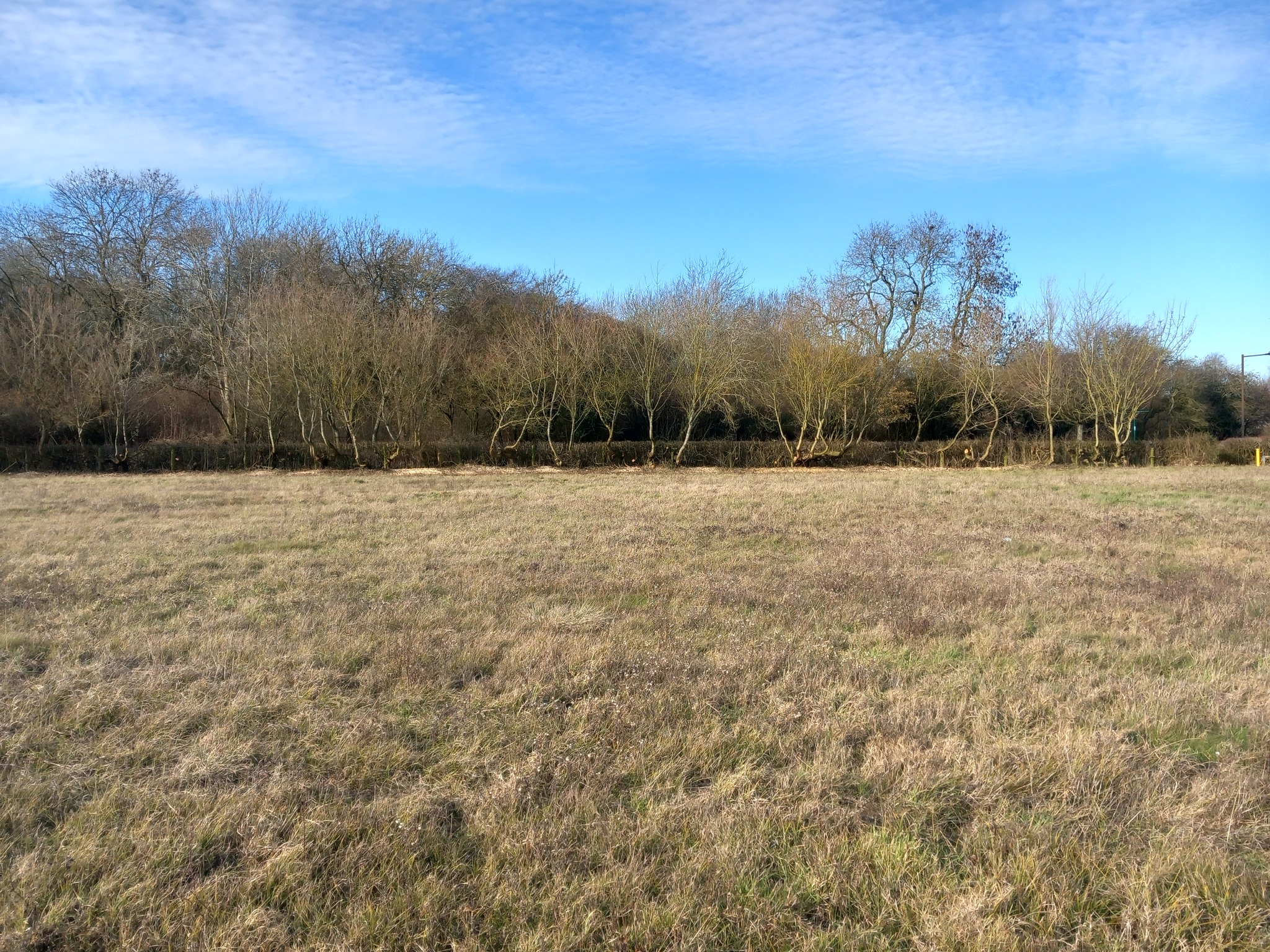 Ground Maintenance Project In Milton Keynes Neal Landscapes