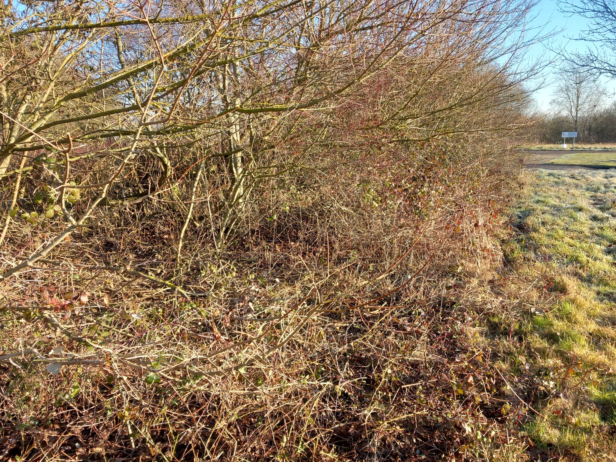 Ground Maintenance Project In Milton Keynes Neal Landscapes