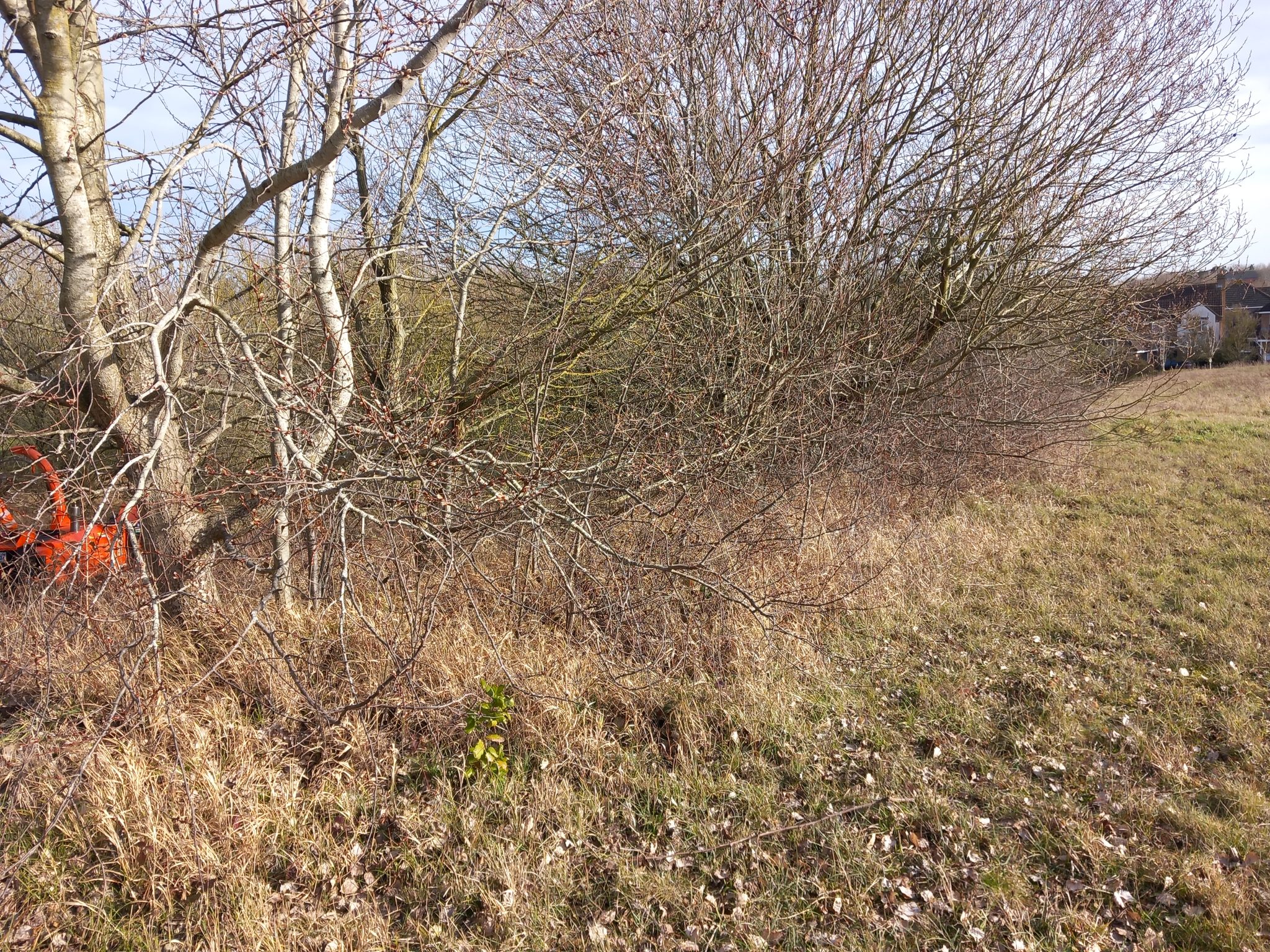 Ground Maintenance Project In Milton Keynes Neal Landscapes