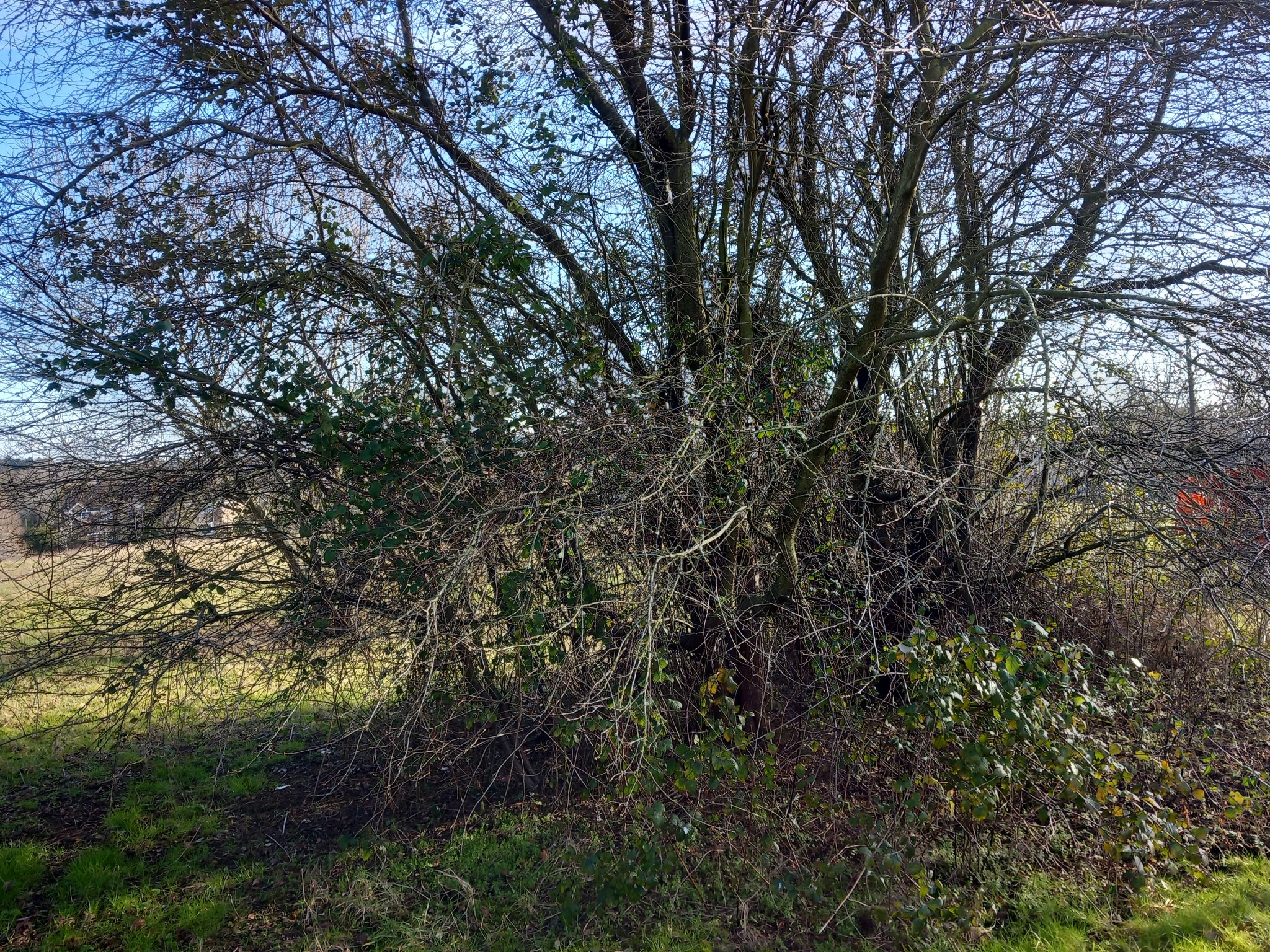 Ground Maintenance Project In Milton Keynes Neal Landscapes