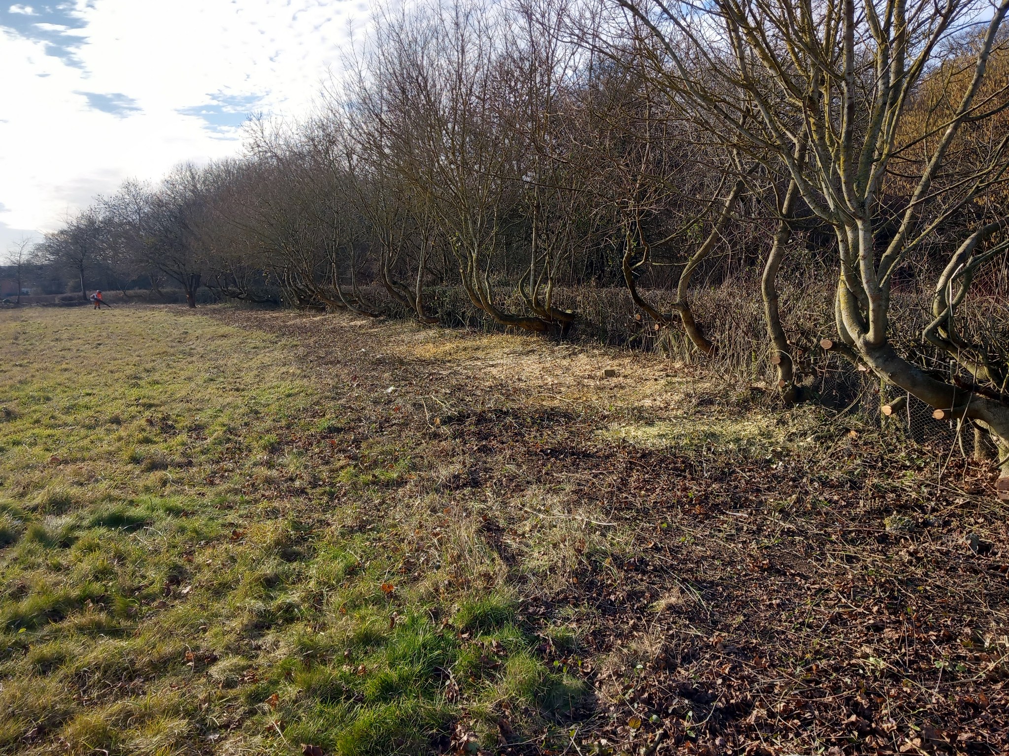 Ground Maintenance Project In Milton Keynes Neal Landscapes