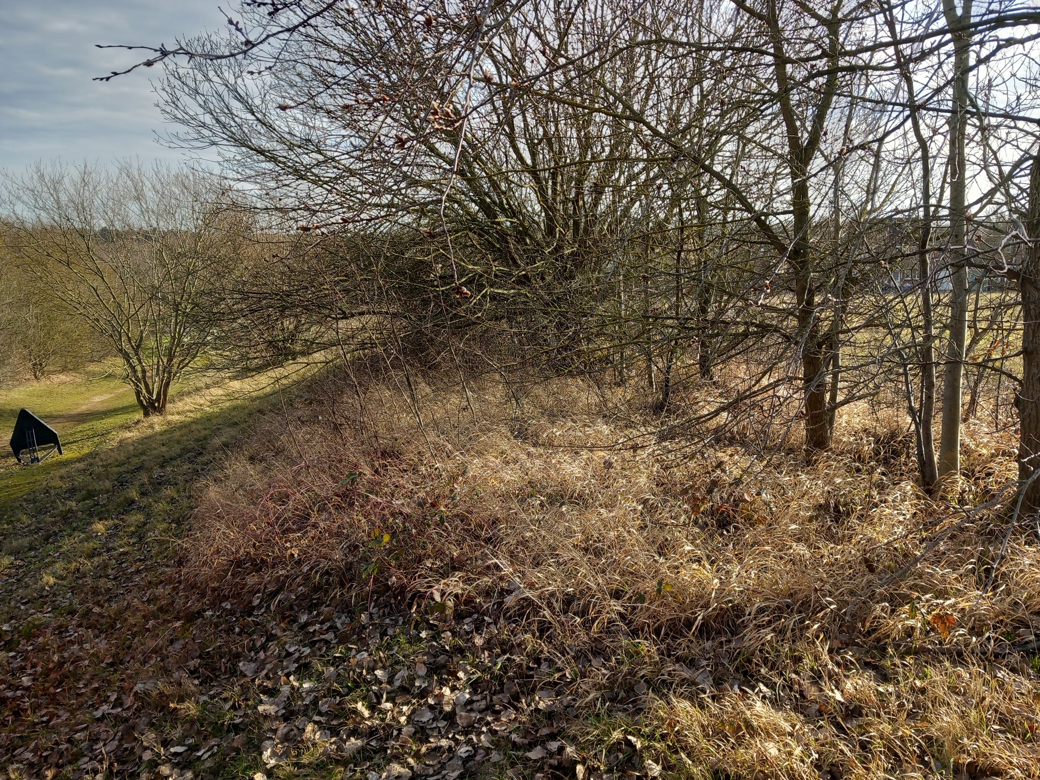 Ground Maintenance Project In Milton Keynes Neal Landscapes